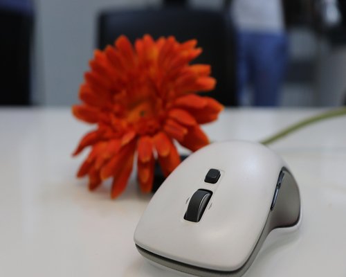 Modern ergonomic workspace setup